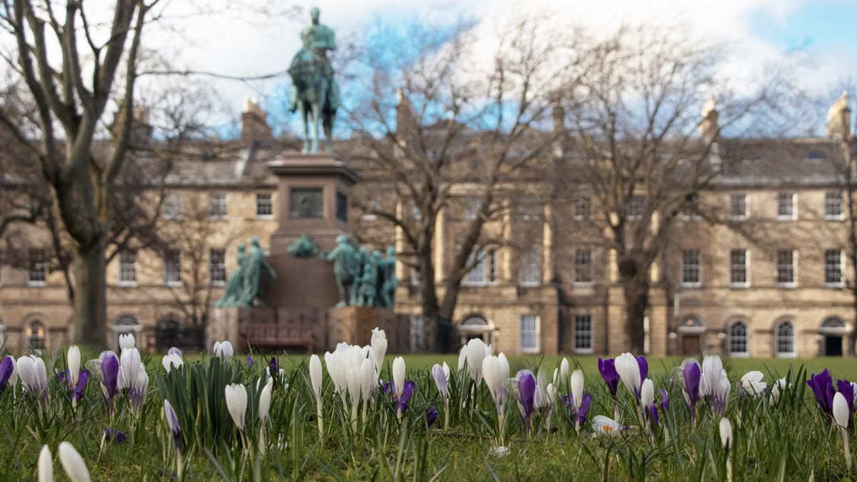 Vibrant crocuses bloom with a historic statue backdrop in Edinburgh, Scotland.